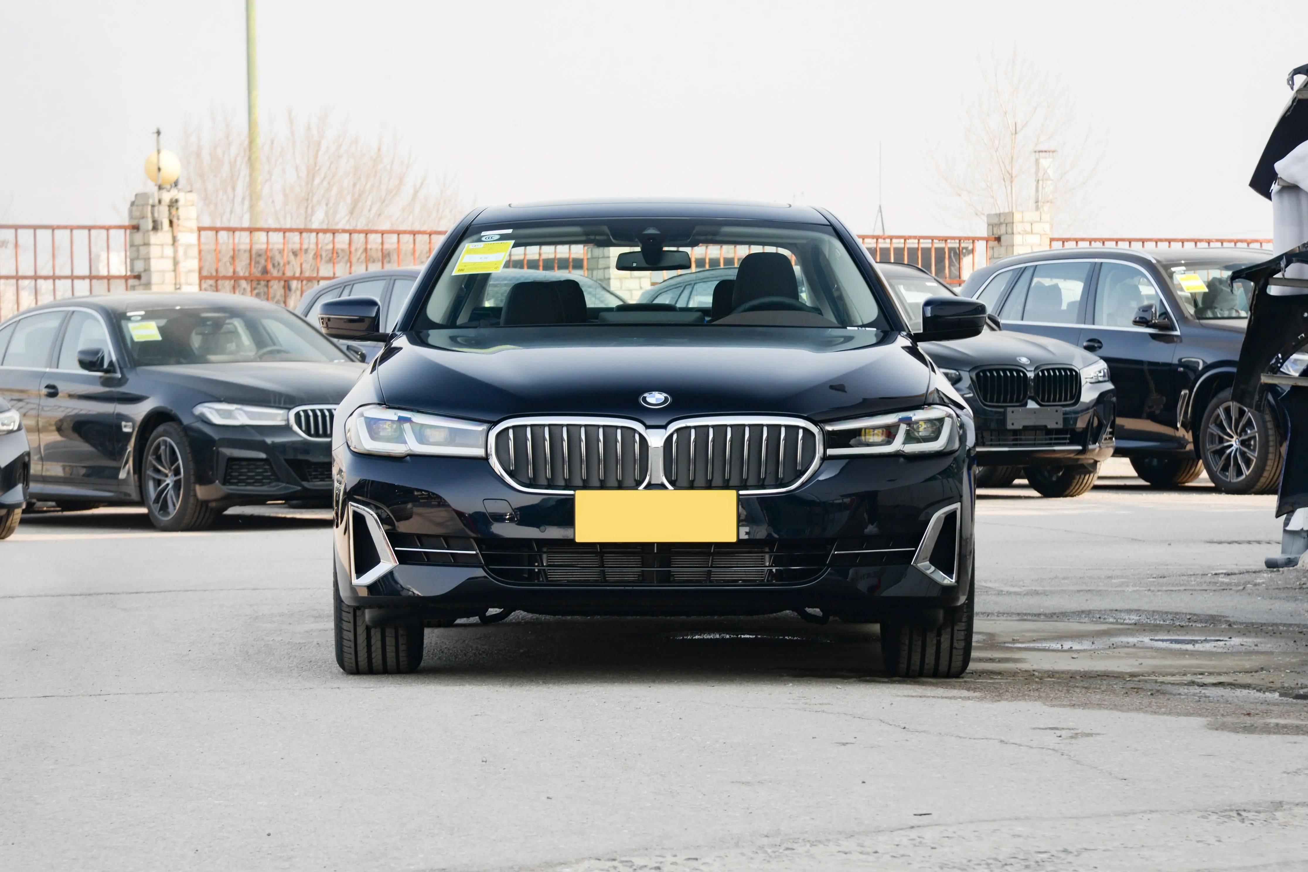 BMW 530LI_10