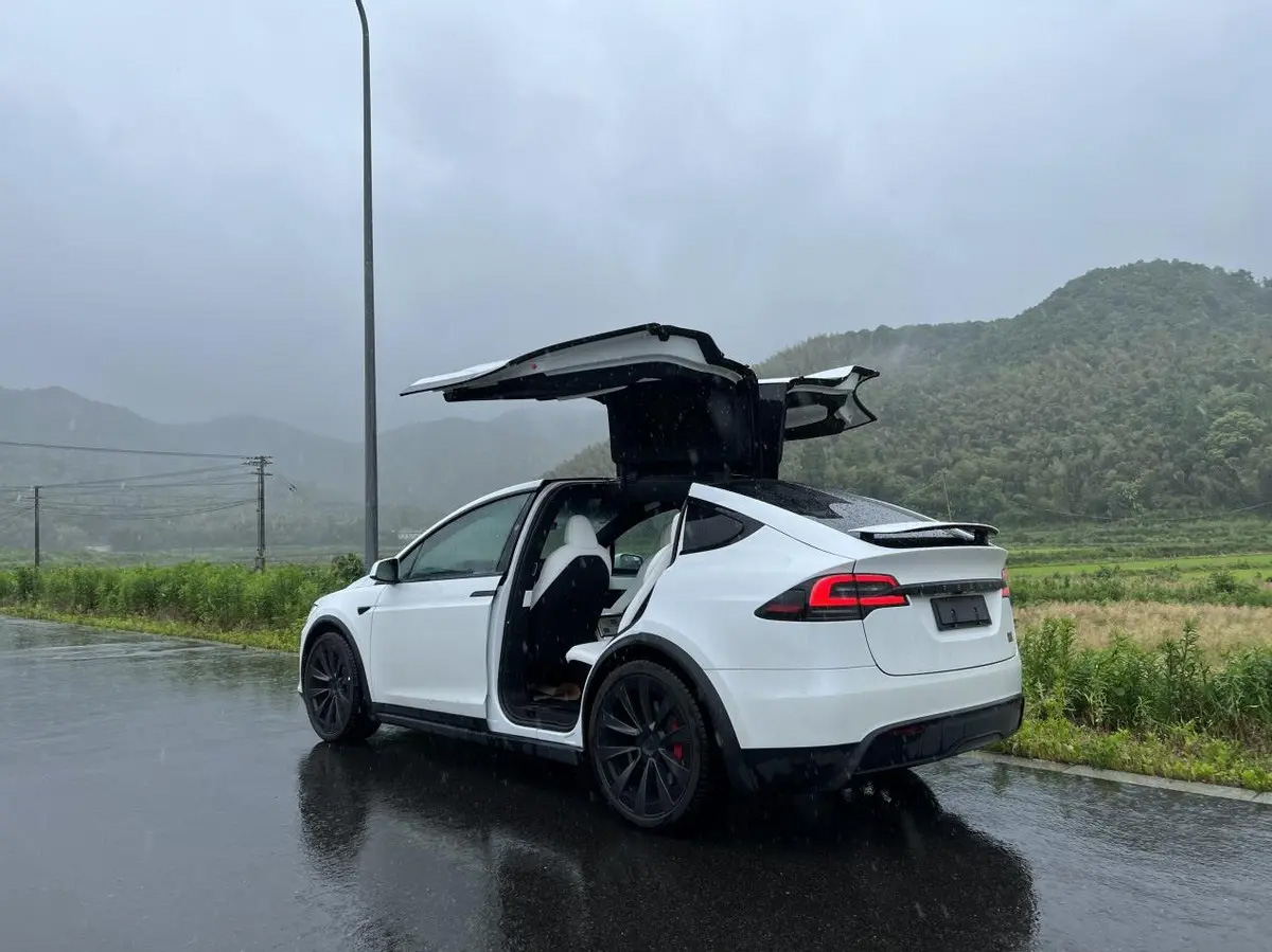 tesla modelis x_0