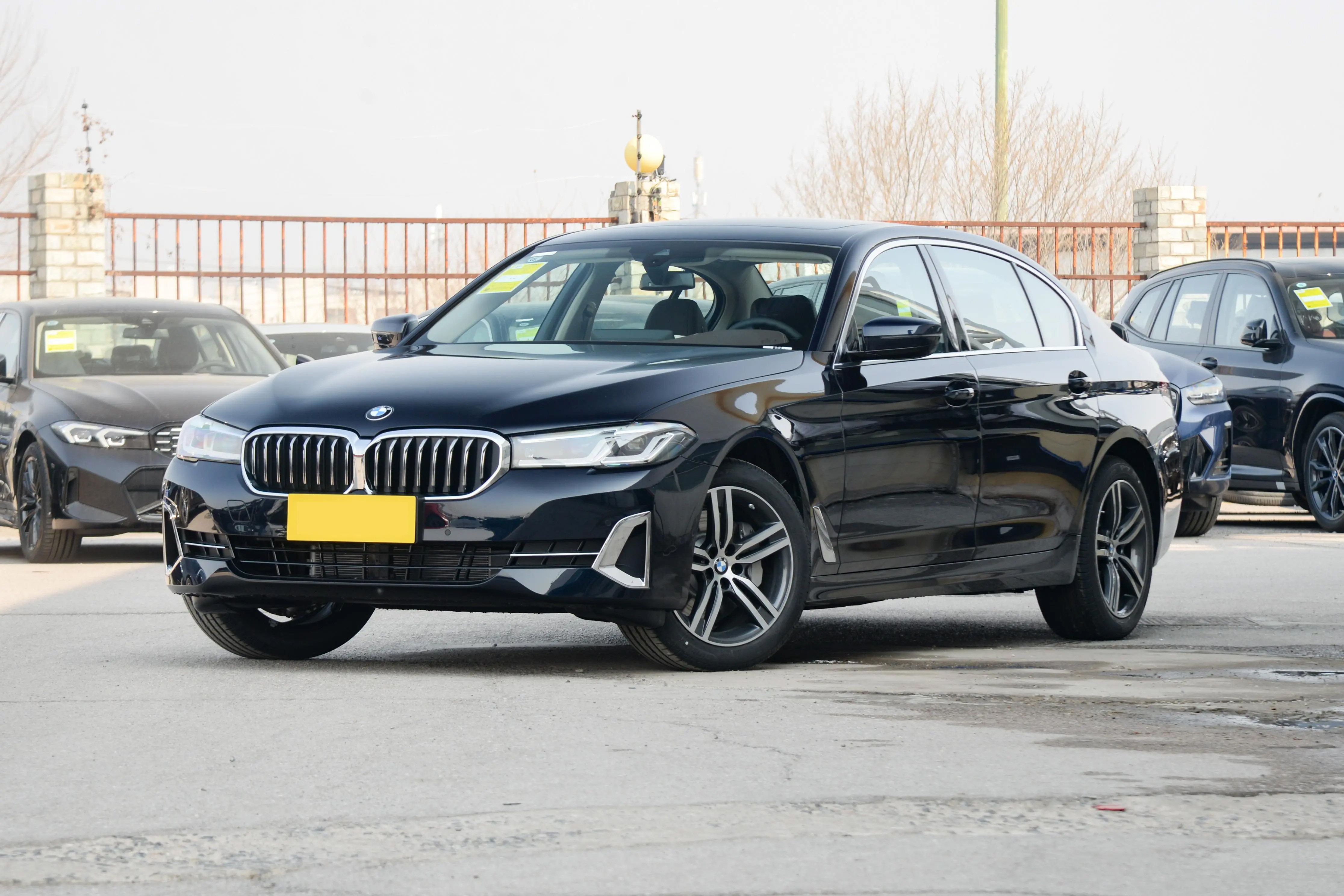 BMW 530 LI_11